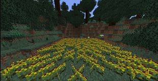 Screenshot (732).png