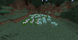 Screenshot (735).png