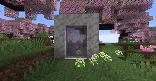 pic3.png
