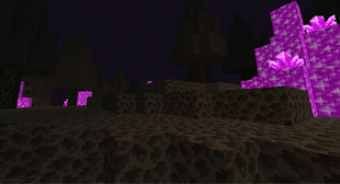 Charred Grove