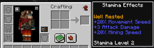 Stamina Effects & Level