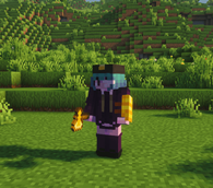 Golden Bracers