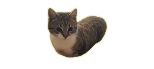 totem_of_undying.png