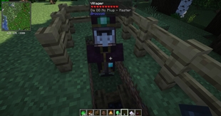 villager1.jpg