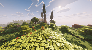 Screenshot 2026-08-17 115101.png