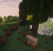 Screenshot 2026-08-17 145113.png