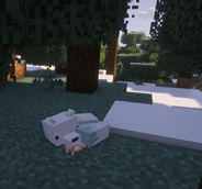 Screenshot 2026-08-17 144909.png
