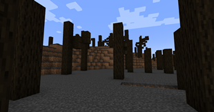 Burned Forest