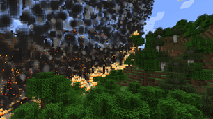 Forest Fire