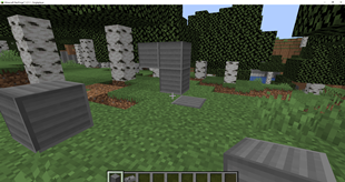 Minecraft NeoForge_ 1.21.1 - Singleplayer 8_17_2026 9_46_00 PM.png