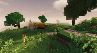 Community farm