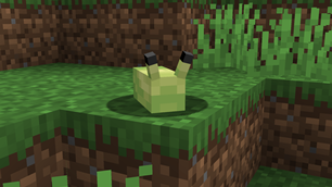 2026-08-09_00.05.34.png