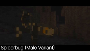 spiderbug.jpg