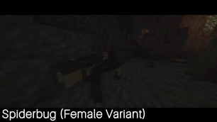 spiderbug2.jpg