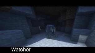 watcher.jpg