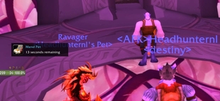 BeastCare-mendpetbuff.jpg