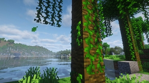 ingame-oak-log.jpg