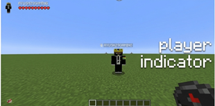 Player Indicator