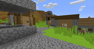 Village