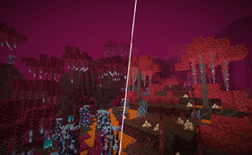 nether swamp