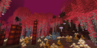 nether swamp