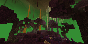 nether jungle