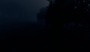 Night in a weird place.
