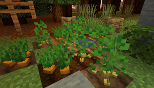 Crops.png