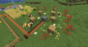 Automated Beekeeping