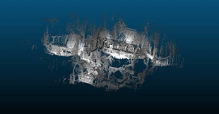 The same file as a scalar field