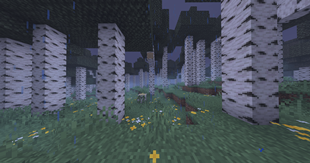 2026-08-19_00.03.59.png
