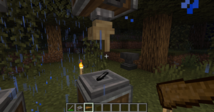 IN_HAND_1 (v0.5.3)