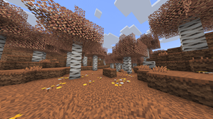 Birch forest
