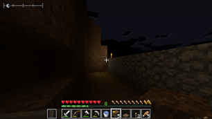 can you find the enderman?