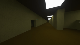 Level 0