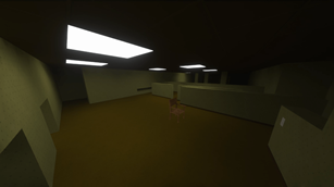 Level 0