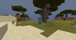 description_80317c47-b271-4676-90ea-75547059daf3.png