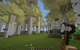image.webp