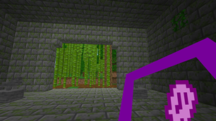 The Snake Temple inside.