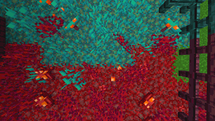 P1.gif