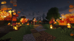 Forest Fire