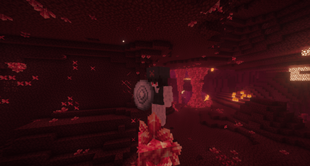 Yung's Better Nether