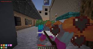 Gameplay with Vanilla Swords