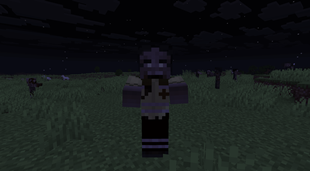2026-08-21_07.29.44.png