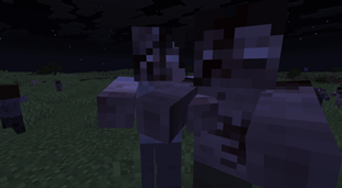 2026-08-21_07.29.27.png