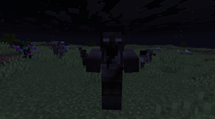 2026-08-21_07.29.02.png