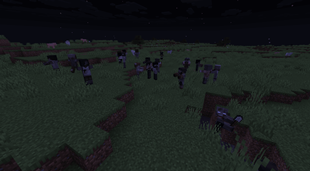 2026-08-21_07.28.55.png