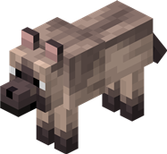 Sherry as A Wolf
