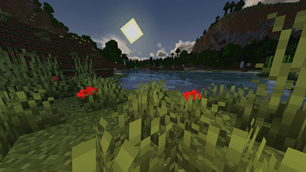 0.5.1 Water view 
