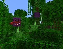 Foliaath